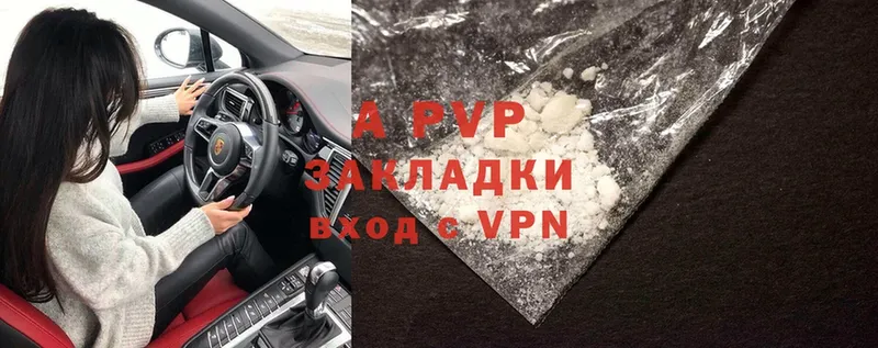 A-PVP СК КРИС  Курчалой 