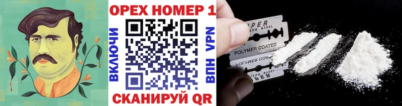как найти закладки  Курчалой  Cocaine FishScale 