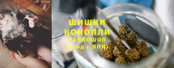 прущие крисы Надым