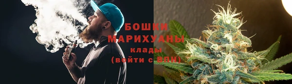 прущие крисы Надым