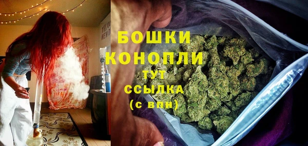 прущие крисы Надым