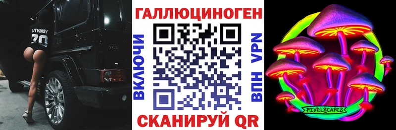 ОМГ ОМГ ссылки  Курчалой  Псилоцибиновые грибы Psilocybine cubensis  сколько стоит 