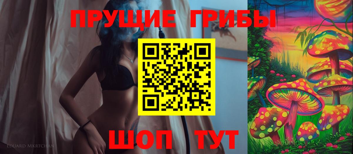 Псилоцибиновые грибы Magic Shrooms  Курчалой 