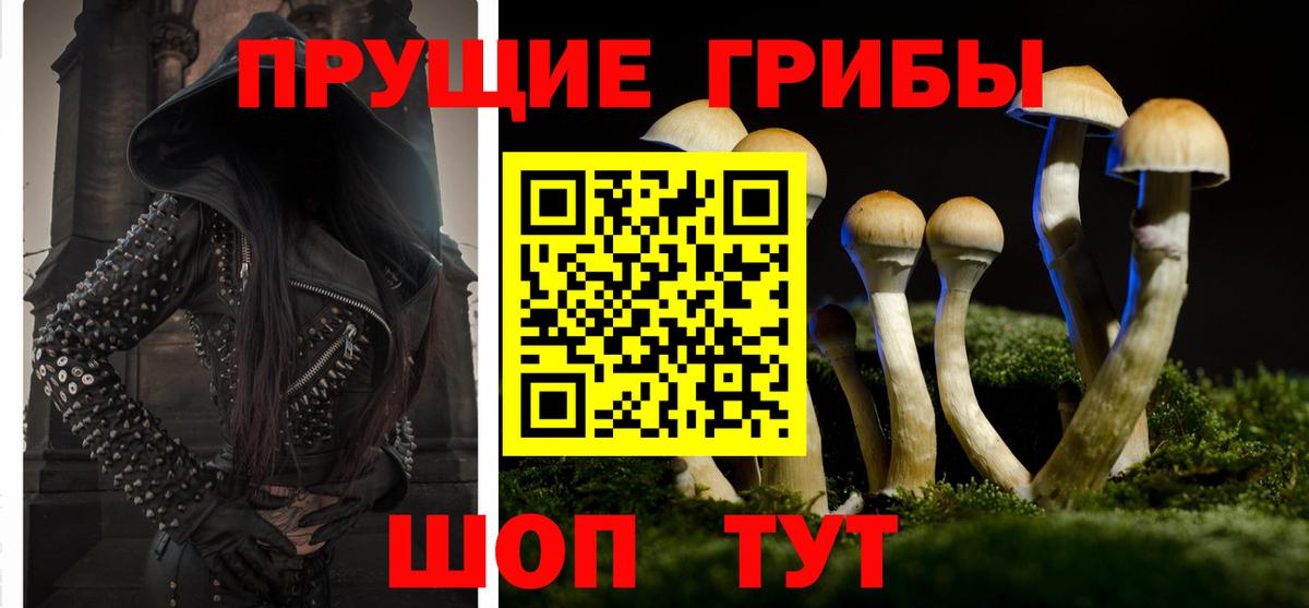 Псилоцибиновые грибы мухоморы Курчалой