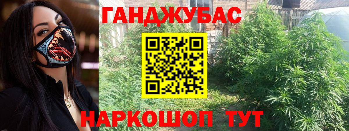 Бошки Шишки план  Каннабис VHQ  Курчалой  Канабис Ganja  МАРИХУАНА VHQ  Вход с VPN 